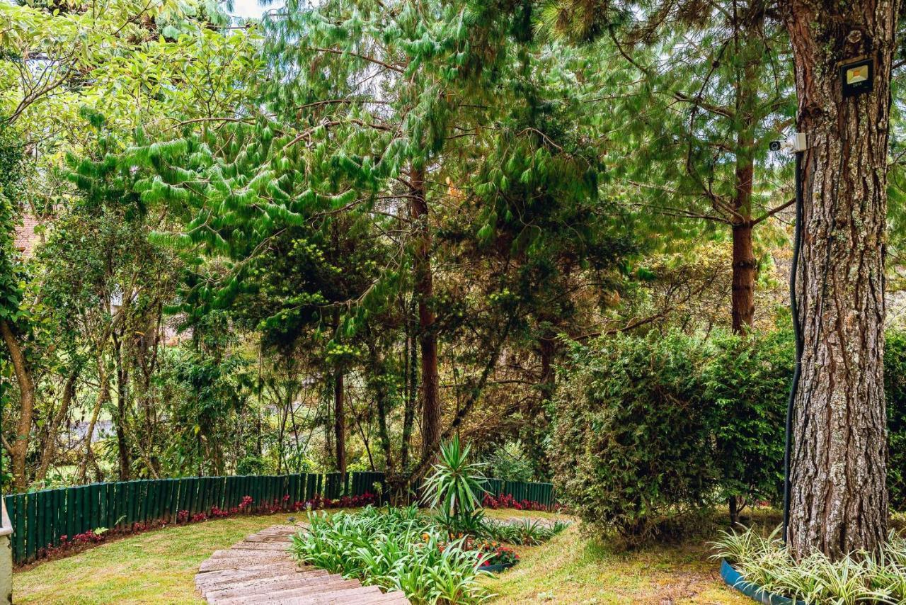 Apartamento Aconchegante Em Campos Do Jordao, Regiao Capivari - Pet Friendly#